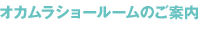 IJV[[̂ē
